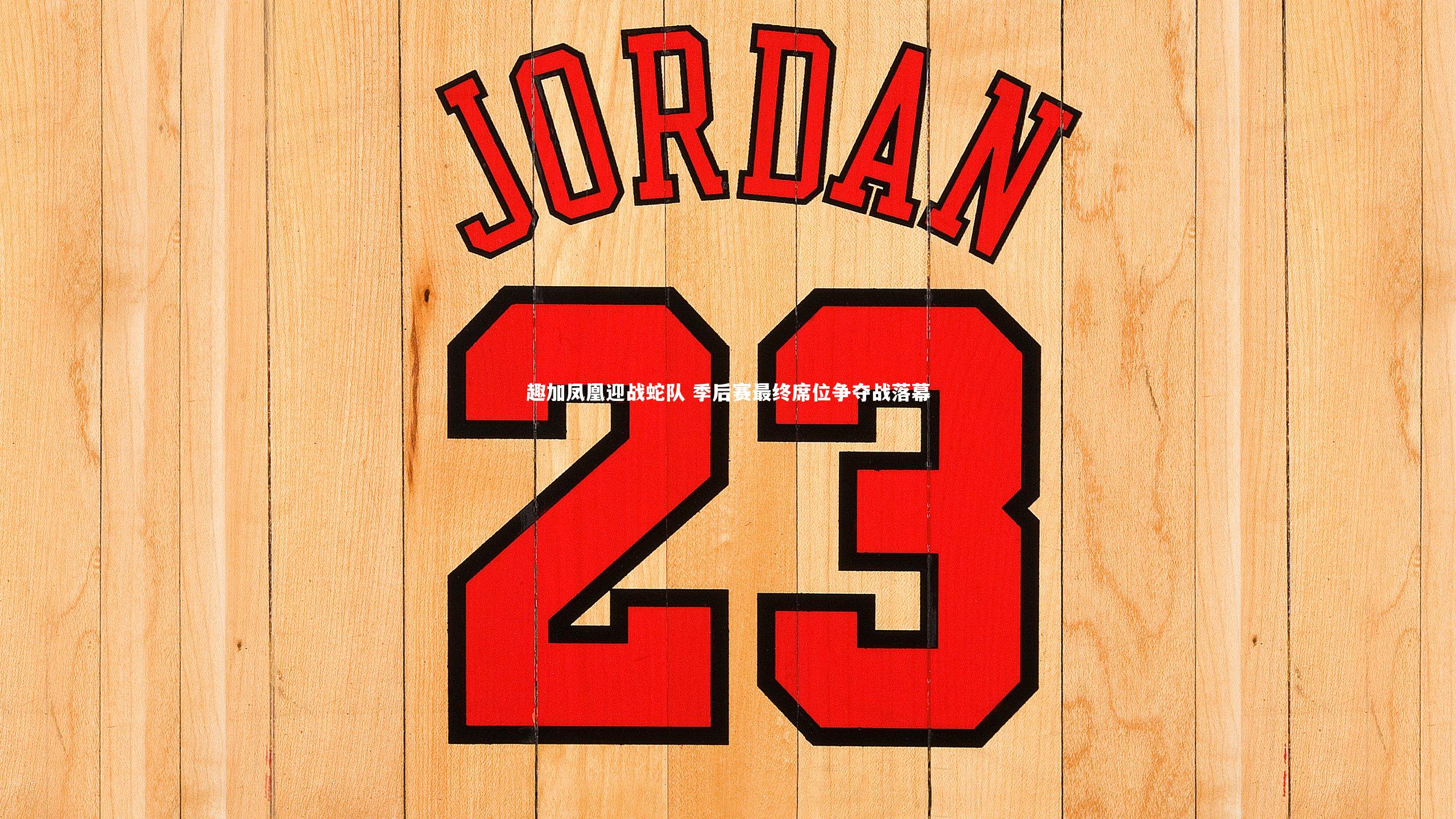 趣加凤凰迎战蛇队 季后赛最终席位争夺战落幕