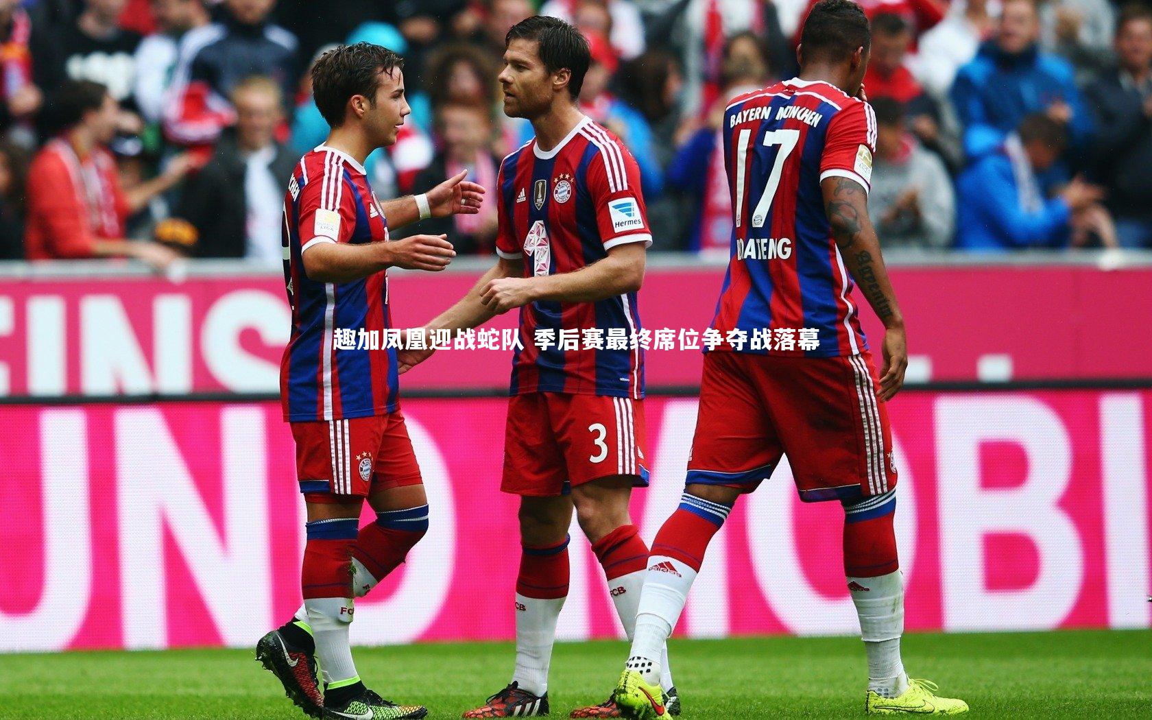 趣加凤凰迎战蛇队 季后赛最终席位争夺战落幕