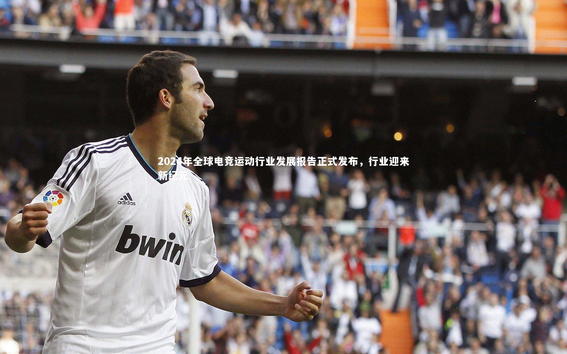 j9九游会官网-2024年全球电竞运动行业发展报告正式发布，行业迎来新纪元