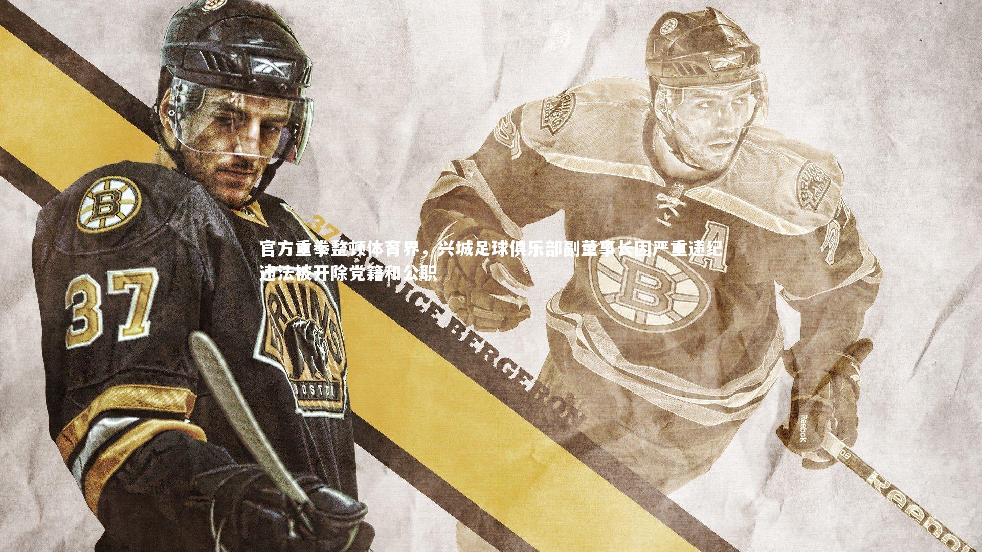 官方重拳整顿体育界，兴城足球俱乐部副董事长因严重违纪违法被开除党籍和公职