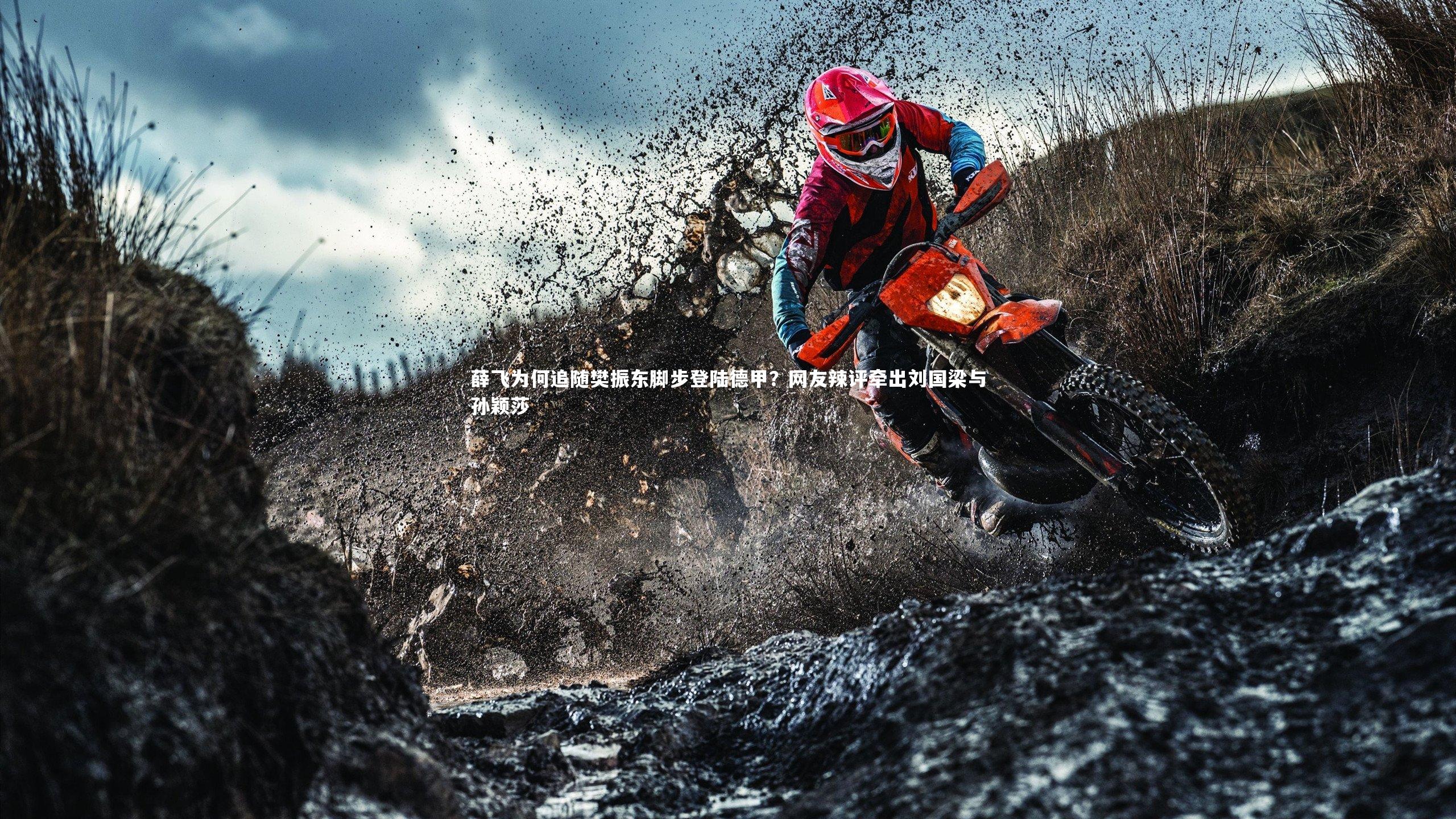 j9九游会官网-薛飞为何追随樊振东脚步登陆德甲？网友辣评牵出刘国梁与孙颖莎