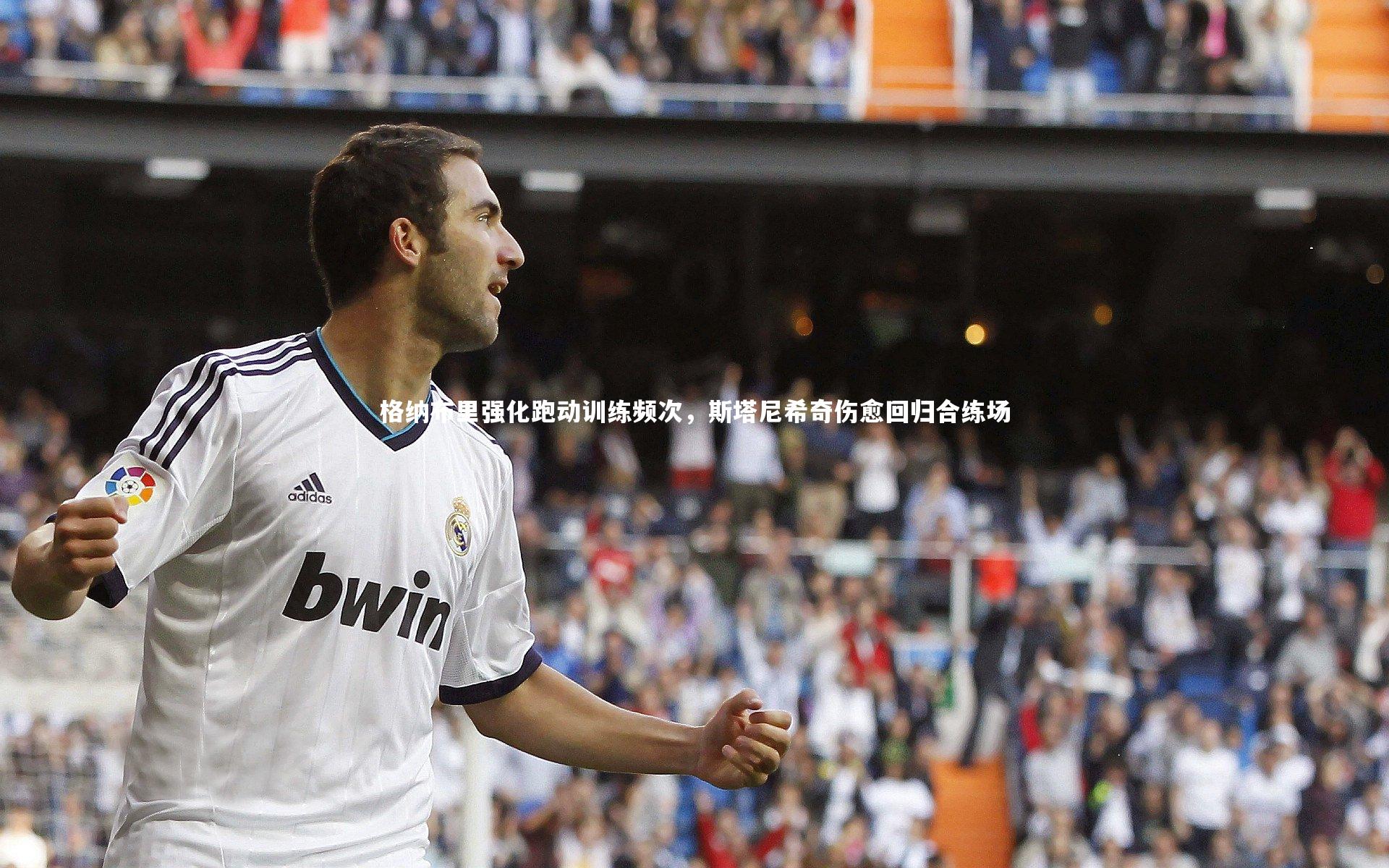 格纳布里强化跑动训练频次，斯塔尼希奇伤愈回归合练场