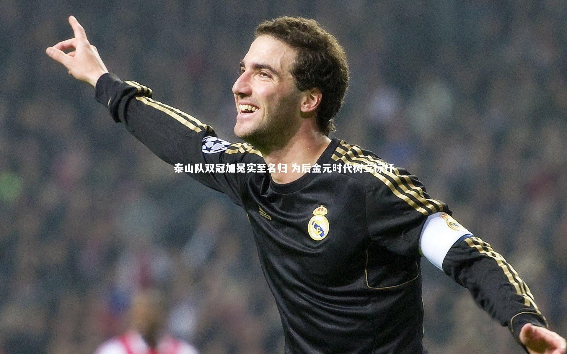 j9九游会官网登录_泰山队双冠加冕实至名归 为后金元时代树立标杆